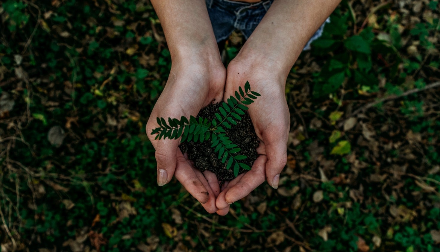 Passos essenciais para uma empresa sustentável